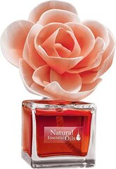 BLOOM AT HOME - CLASSIC ROSE , меняющий цвет цветок, аромат из натуральных эссенций 100 мл. цена и информация | Домашние ароматы с палочками | kaup24.ee