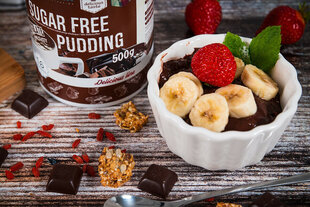 Пудинг AllNutrition Sugar Free Pudding, 500 г, вкус шоколада цена и информация | Функциональные продукты питания (суперфуд) | kaup24.ee