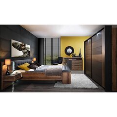 Кровать Bellevue 160 x 200 см, дуб/черный дуб цена и информация | Кровати | kaup24.ee