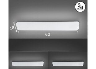 Потолочный светильник Fischer & Honsel Aldo цена и информация | Потолочные светильники | kaup24.ee
