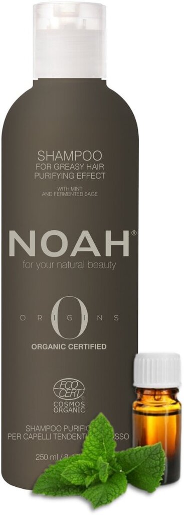 Šampoon rasustele juustele Origins Noah, 250 ml hind ja info | Šampoonid | kaup24.ee