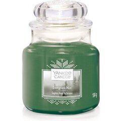 Yankee Candle Evergreen Mist lõhnaküünal 411 g hind ja info | Küünlad, küünlajalad | kaup24.ee
