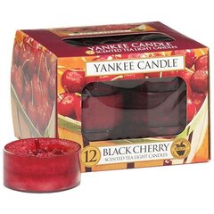 Yankee Candle Black Cherry lõhnaküünal 12 x 9.8 g hind ja info | Küünlad, küünlajalad | kaup24.ee