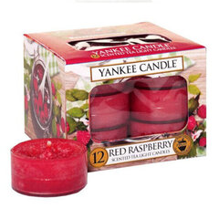 Yankee Candle Red Raspberry lõhnaküünal 12 x 9.8 g hind ja info | Küünlad, küünlajalad | kaup24.ee