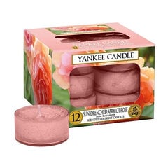 Yankee Candle Sun-Drenched Apricot Rose lõhnaküünal 12 x 9.8 g цена и информация | Подсвечники, свечи | kaup24.ee