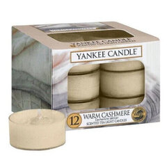 Yankee Candle Warm Cashmere lõhnaküünal 12 x 9.8 g hind ja info | Küünlad, küünlajalad | kaup24.ee