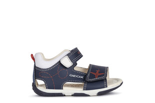 Poiste sandaalid Geox, sinine hind ja info | Laste sandaalid | kaup24.ee