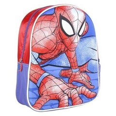 Seljakott Spiderman 3D hind ja info | Koolikotid, sussikotid | kaup24.ee