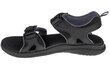 Meeste sandaalid Columbia 2 Strap Sandals 1907061010 цена и информация | Meeste plätud, sussid | kaup24.ee