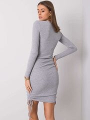 Naiste kleit Suzanne, hall hind ja info | Kleidid | kaup24.ee