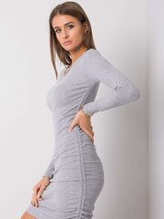 Naiste kleit Suzanne, hall hind ja info | Kleidid | kaup24.ee
