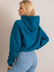 Naiste džemper Nicole hind ja info | Naiste pusad | kaup24.ee
