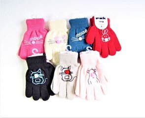 Детские перчатки цена и информация | Зимняя одежда для детей | kaup24.ee