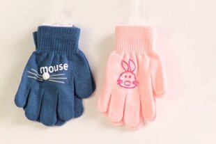 Детские перчатки цена и информация | Зимняя одежда для детей | kaup24.ee