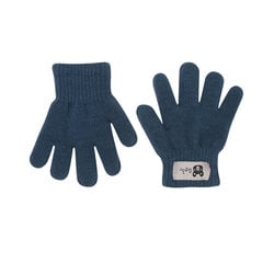 Laste voodriga kindad Rak Children Gloves R-011DB, sinine цена и информация | Зимняя одежда для детей | kaup24.ee