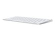 Apple Magic Keyboard - Swedish - MK2A3S/A hind ja info | Klaviatuurid | kaup24.ee