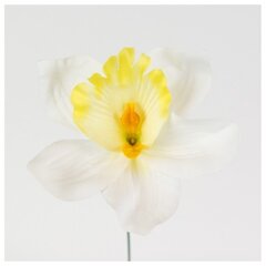 Искусственный цветок орхидеи, 12 шт. цена и информация | Искусственные цветы | kaup24.ee