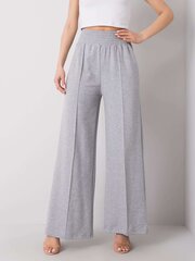 Naiste püksid Santiago 292024108, hall hind ja info | Naiste püksid | kaup24.ee