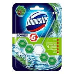 Средство для унитазов DOMESTOS POWER 5 PINE, 55г цена и информация | Очистители | kaup24.ee