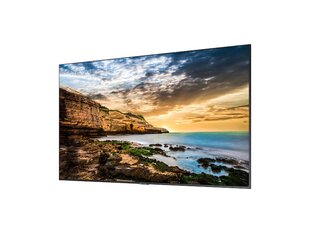 Монитор Videowall Samsung QE55T 3840 x 2160 px 55" LED 50 - 60 Hz цена и информация | Телевизоры | kaup24.ee