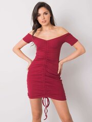 Naiste kleit Eduarda 291999424, punane hind ja info | Kleidid | kaup24.ee