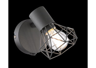 Настенный светильник Fischer & Honsel Ran 32470 цена и информация | Настенный светильник Конусы | kaup24.ee