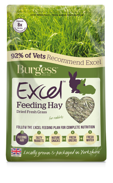 BURGESS EXCEL HEIN DRIED FRESH GRASS 1KG цена и информация | Toit väikeloomadele | kaup24.ee