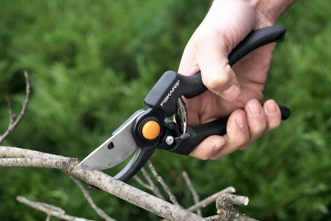 Oksakäärid Fiskars PRO P90 цена и информация | Aiatööriistad | kaup24.ee