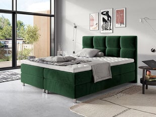 Kontinentaalvoodi Black White Bed Dave, roheline hind ja info | Voodid | kaup24.ee