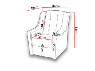 Кресло NIAGARA цена и информация | Кресла в гостиную | kaup24.ee