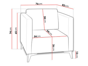 Tugitool SAFIR цена и информация | Кресла в гостиную | kaup24.ee