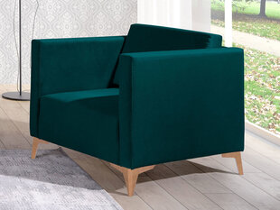 Кресло SAFIR цена и информация | Кресла в гостиную | kaup24.ee