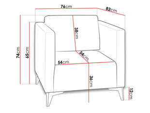 Кресло SAFIR цена и информация | Кресла в гостиную | kaup24.ee