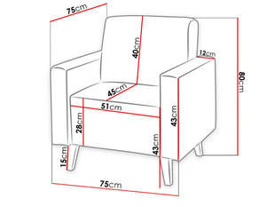 Кресло OVIEDO цена и информация | Кресла в гостиную | kaup24.ee