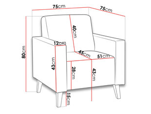 Tugitool OVIEDO GLOSS цена и информация | Кресла в гостиную | kaup24.ee