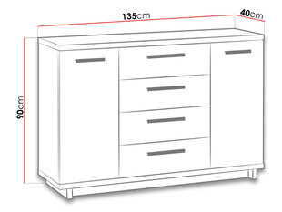 Комод Ines цена и информация | Шкафчики в гостиную | kaup24.ee