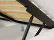 Voodi Niko 180x200 cm ülestõstetava voodipõhjaga цена и информация | Voodid | kaup24.ee