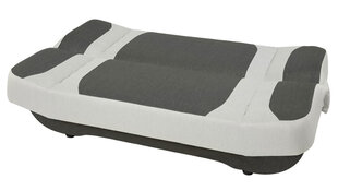 Диван-кровать Pinto цена и информация | Диваны | kaup24.ee