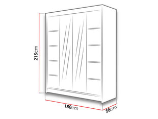 Шкаф с раздвижными дверями Talin V цена и информация | Шкафы | kaup24.ee