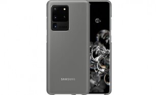 Samsung EF-KG988CJEGEU для Samsung Galaxy S20 Ultra, серый цена и информация | Чехлы для телефонов | kaup24.ee