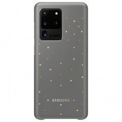 Samsung EF-KG988CJEGEU для Samsung Galaxy S20 Ultra, серый цена и информация | Чехлы для телефонов | kaup24.ee