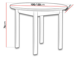 Обеденный стол Poli цена и информация | Кухонные и обеденные столы | kaup24.ee