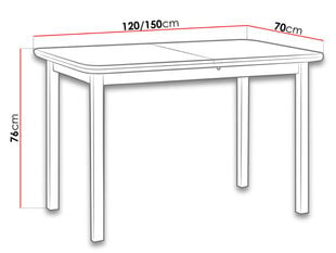 Раздвижной обеденный стол цена и информация | Кухонные и обеденные столы | kaup24.ee
