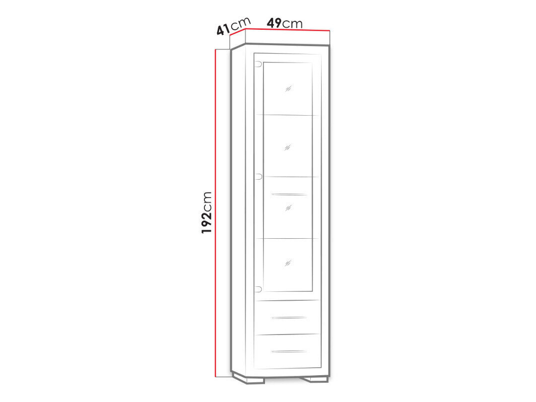 Vitriinkapp Vegas + LED-valgustus hind ja info | Vitriinkapid | kaup24.ee