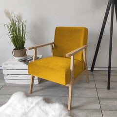 Кресло Retro цена и информация | Кресла | kaup24.ee