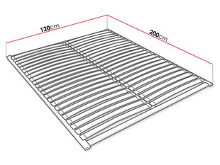 Voodipõhi EASYPACK 120x200cm hind ja info | Voodid | kaup24.ee