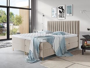 Континентальная кровать ELEGANCE 140x200 цена и информация | Кровати | kaup24.ee