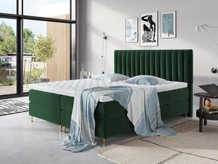 Континентальная кровать ELEGANCE 160x200 цена и информация | Кровати | kaup24.ee