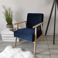 Кресло Retro цена и информация | Кресла в гостиную | kaup24.ee