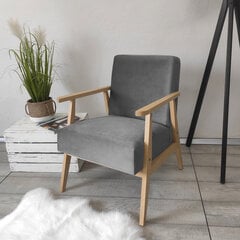 Кресло Retro цена и информация | Кресла | kaup24.ee